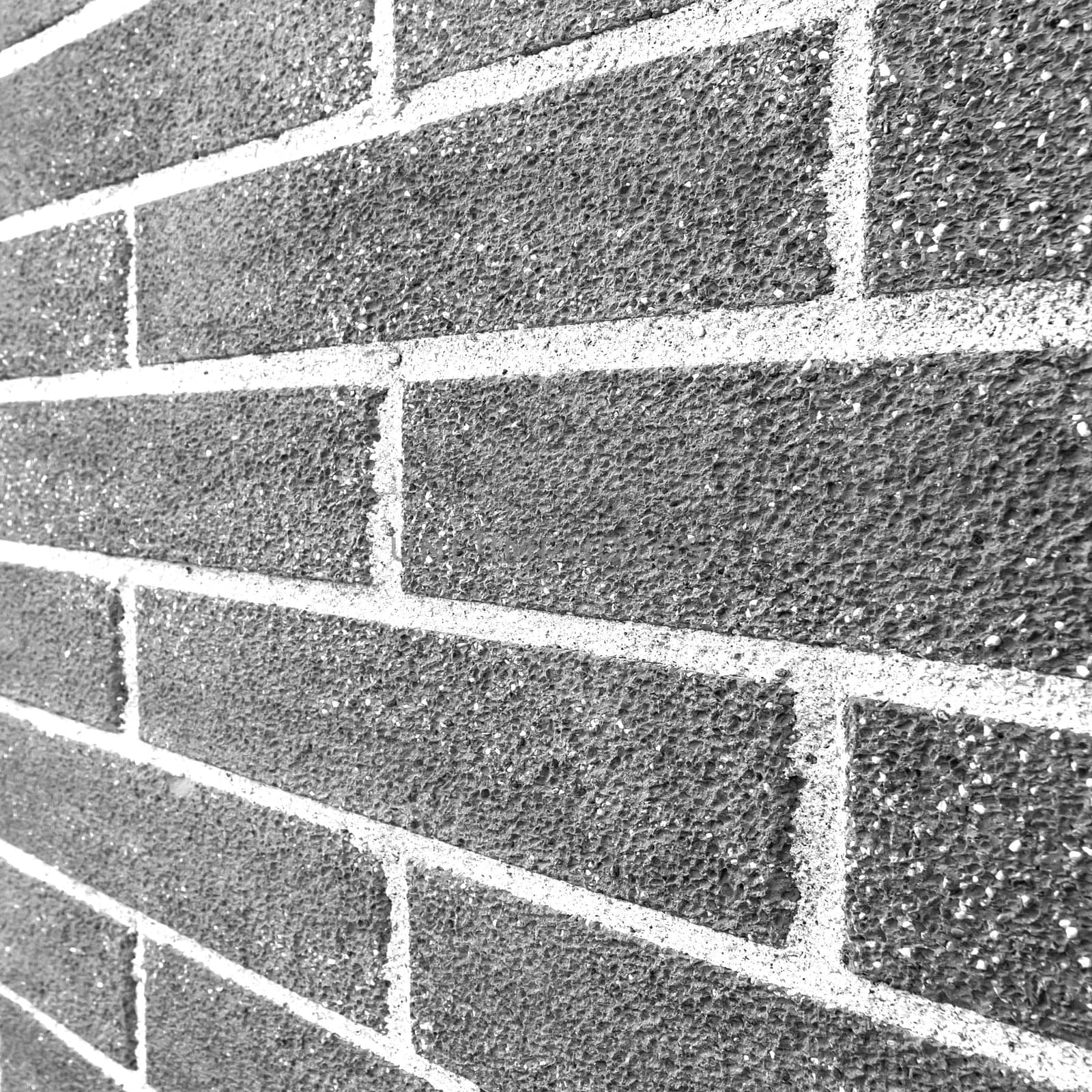 Angle view of Black and White brick wall with shallow DOF