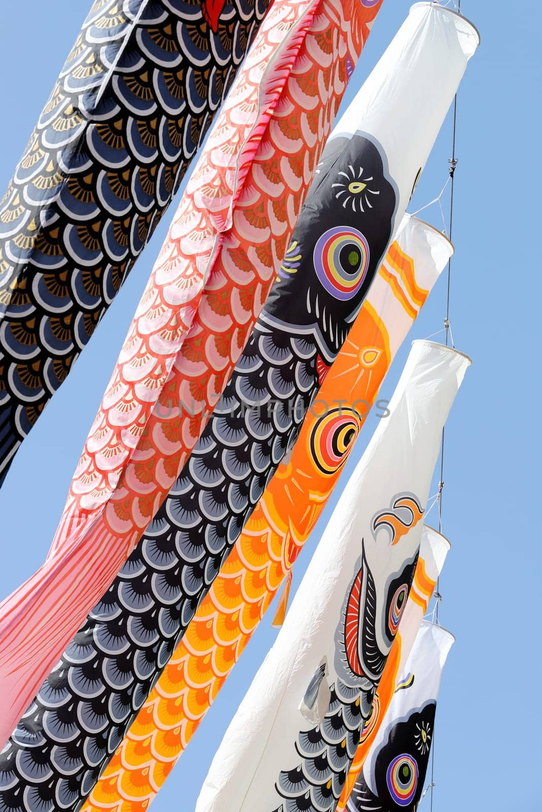 Japanese carp streamer decoration against blue sky, Children's Day