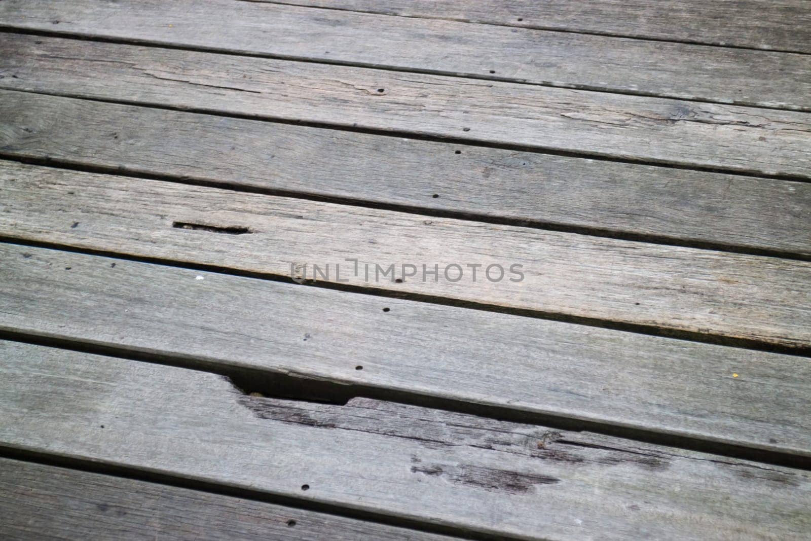 Wooden walkway empty plant timber, stock photo