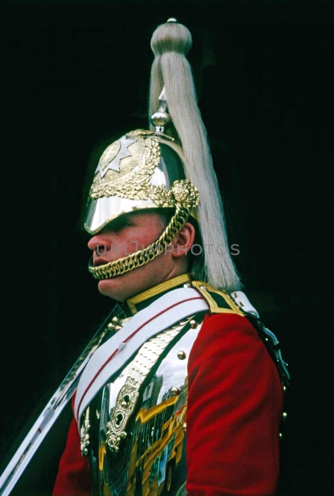 Horseback Military Guard in London