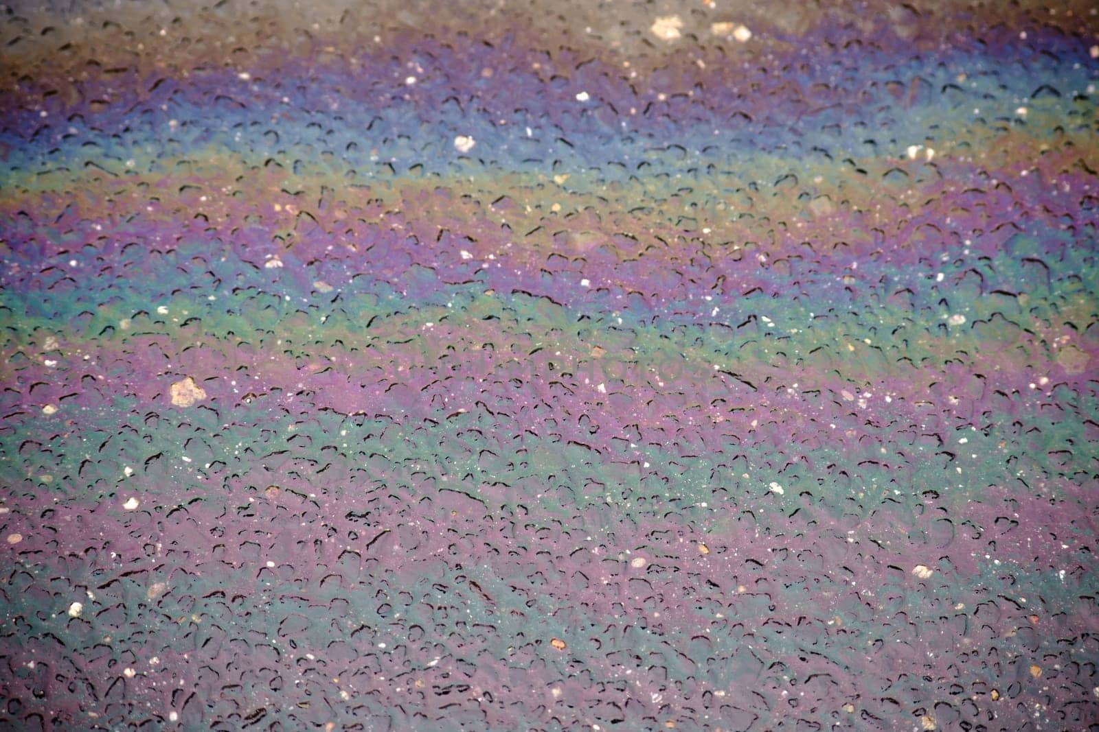 An oil film or a trace of oil on the wet asphalt of a road shimmers in bright colors.