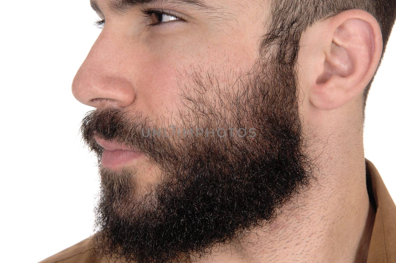 A close up image of the face of a young man with a beard and mustache.in profile isolated for white background.