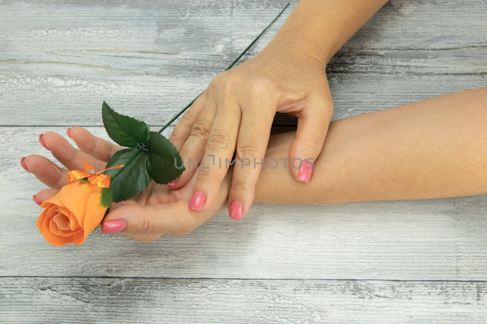 Hands of woman pink manicured on nails and an orange rose lies on the left hand. Background is a rustic bright table. Concept beauty.