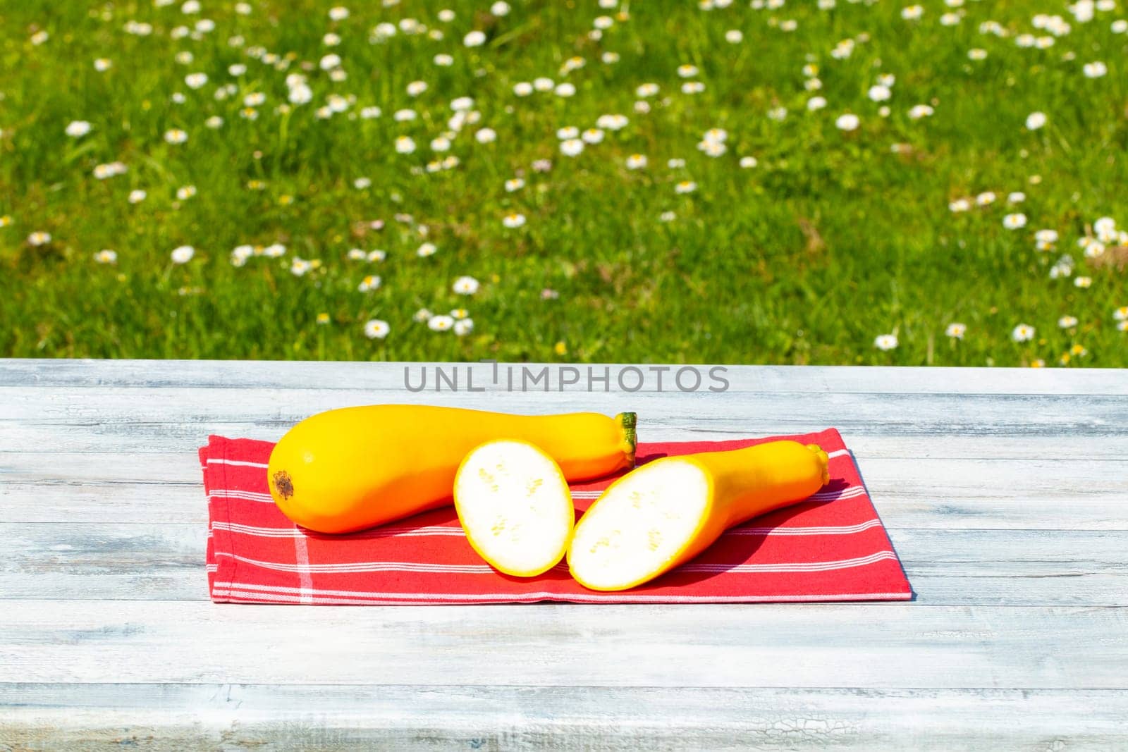 Two yellow fresh courgette on rustic bright wooden table with natural green background. One of the yellow zucchini was freshly sliced. Concept health.