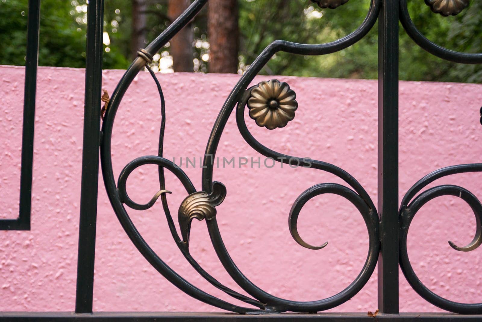 particular of an iron fence surround the park