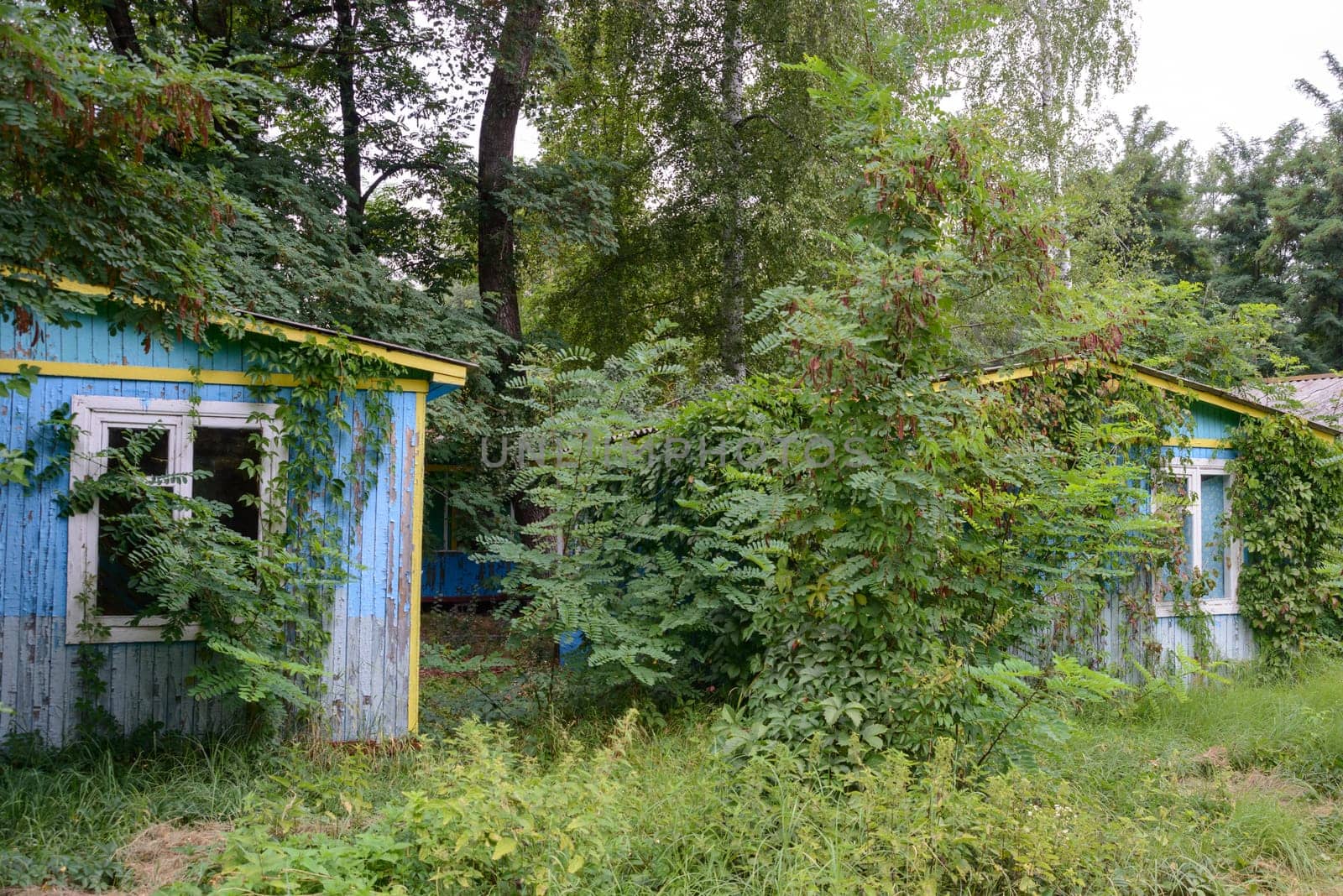 Some ruined cottage in an ukrainian forest near Kharkiv