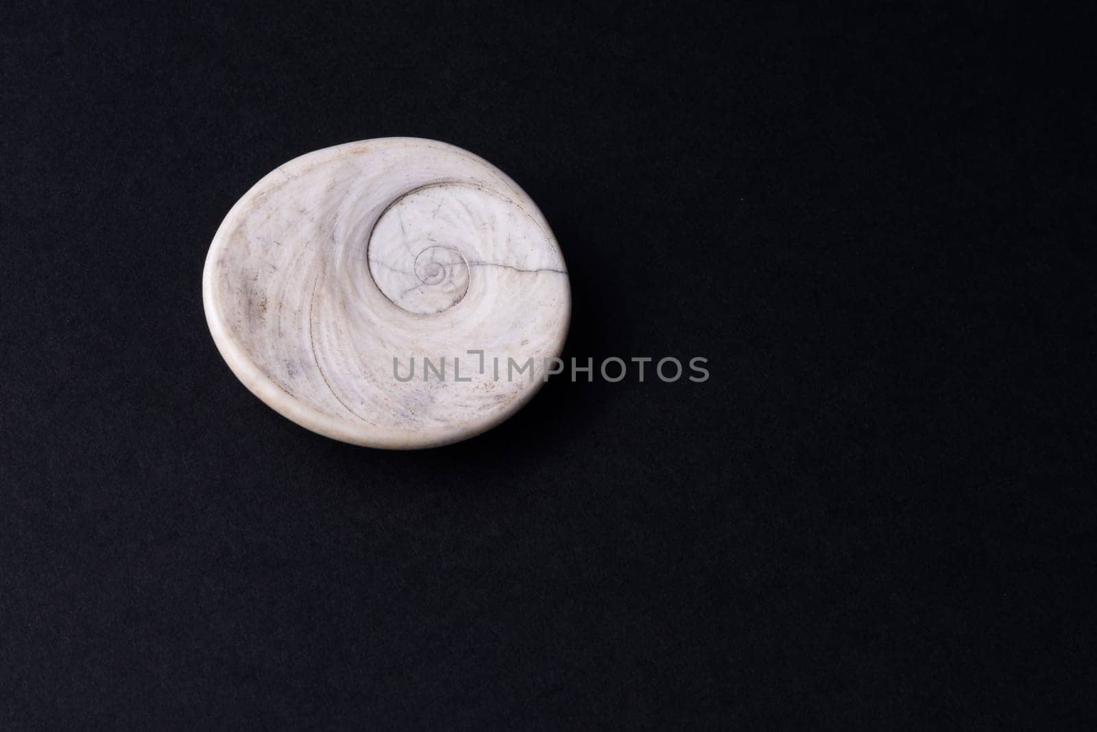A shell fossil found in a rock near italian beach