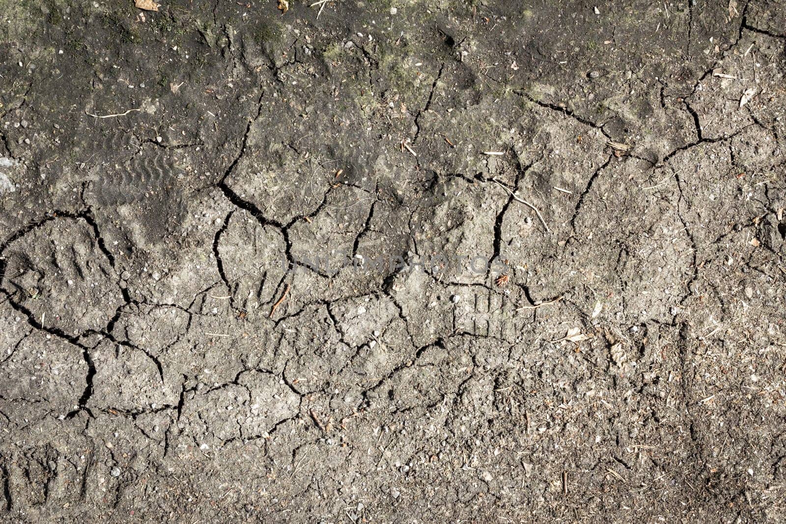 Cracked ground of Earth or Mud Crack. Dry muddy background, texture.
