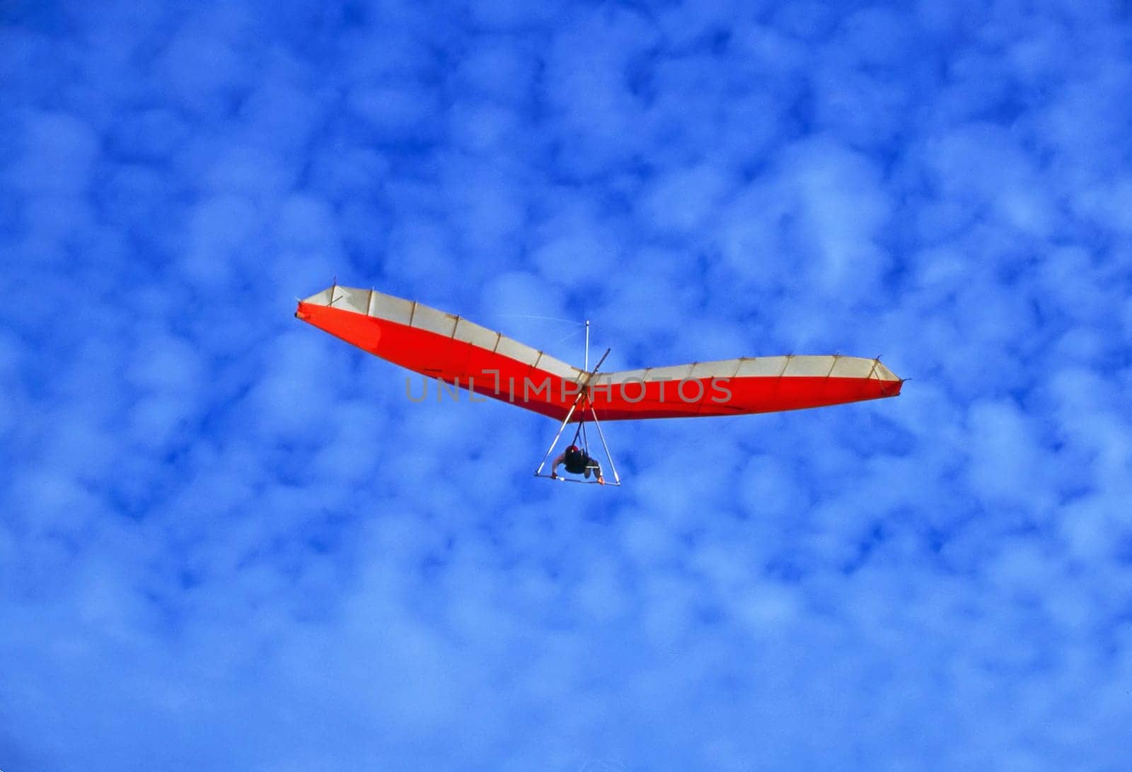 Glider in Torrey Pines, California