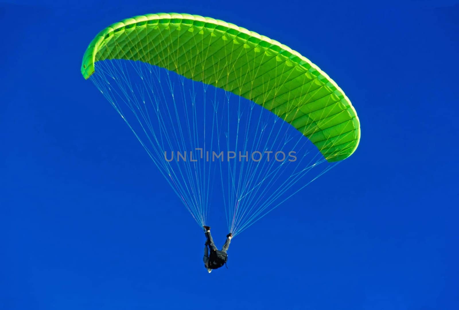 Paraglider in Torrey Pines, California
