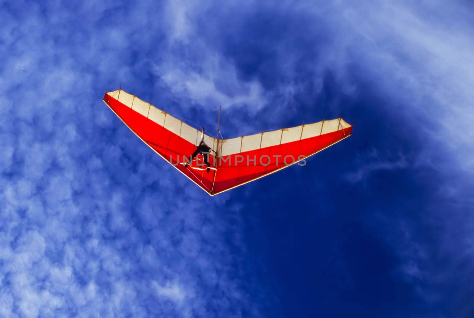 Glider in Torrey Pines, California