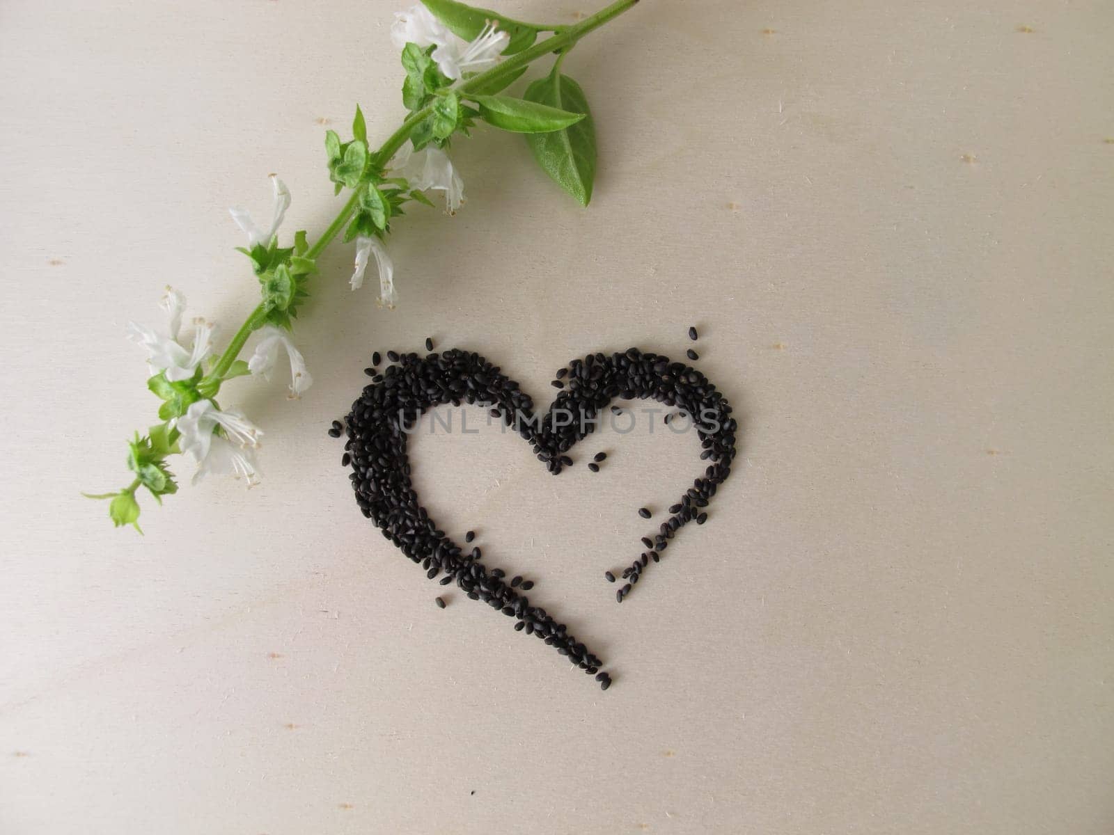 Superfood Basil Seeds