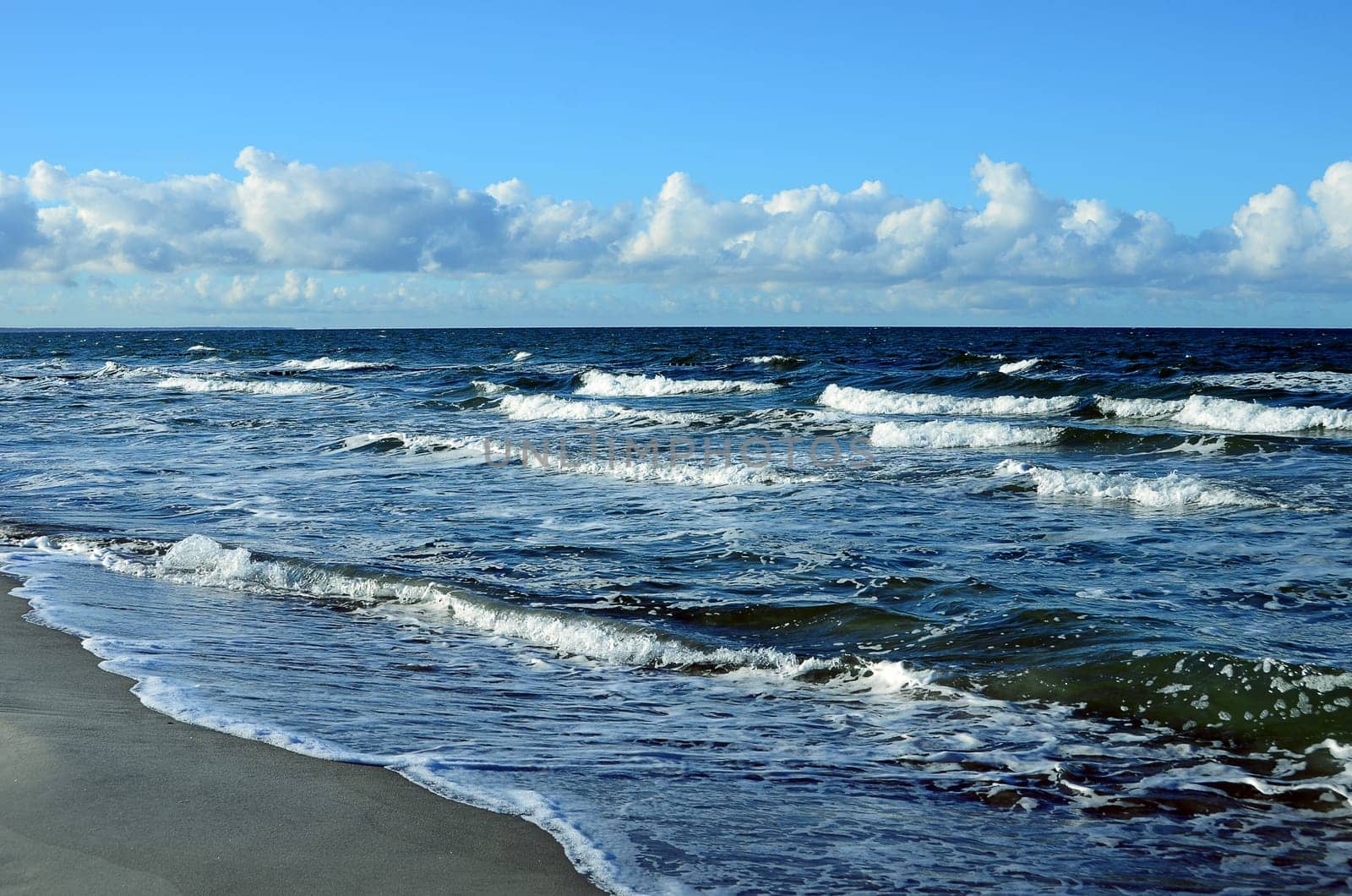 Baltic Sea surf