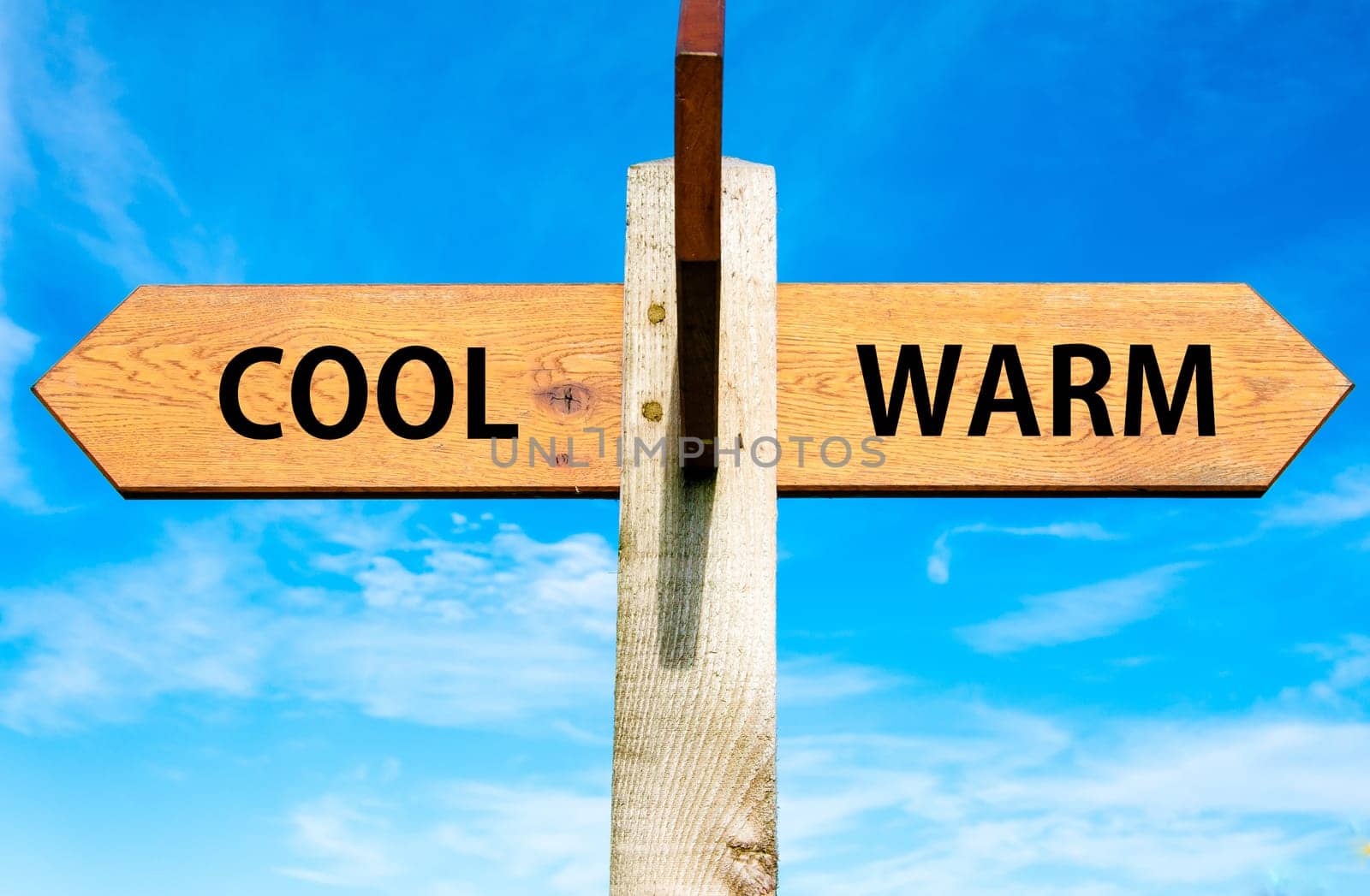 Blank wooden signpost with two arrows over clear blue sky with copy space, just add your text here
