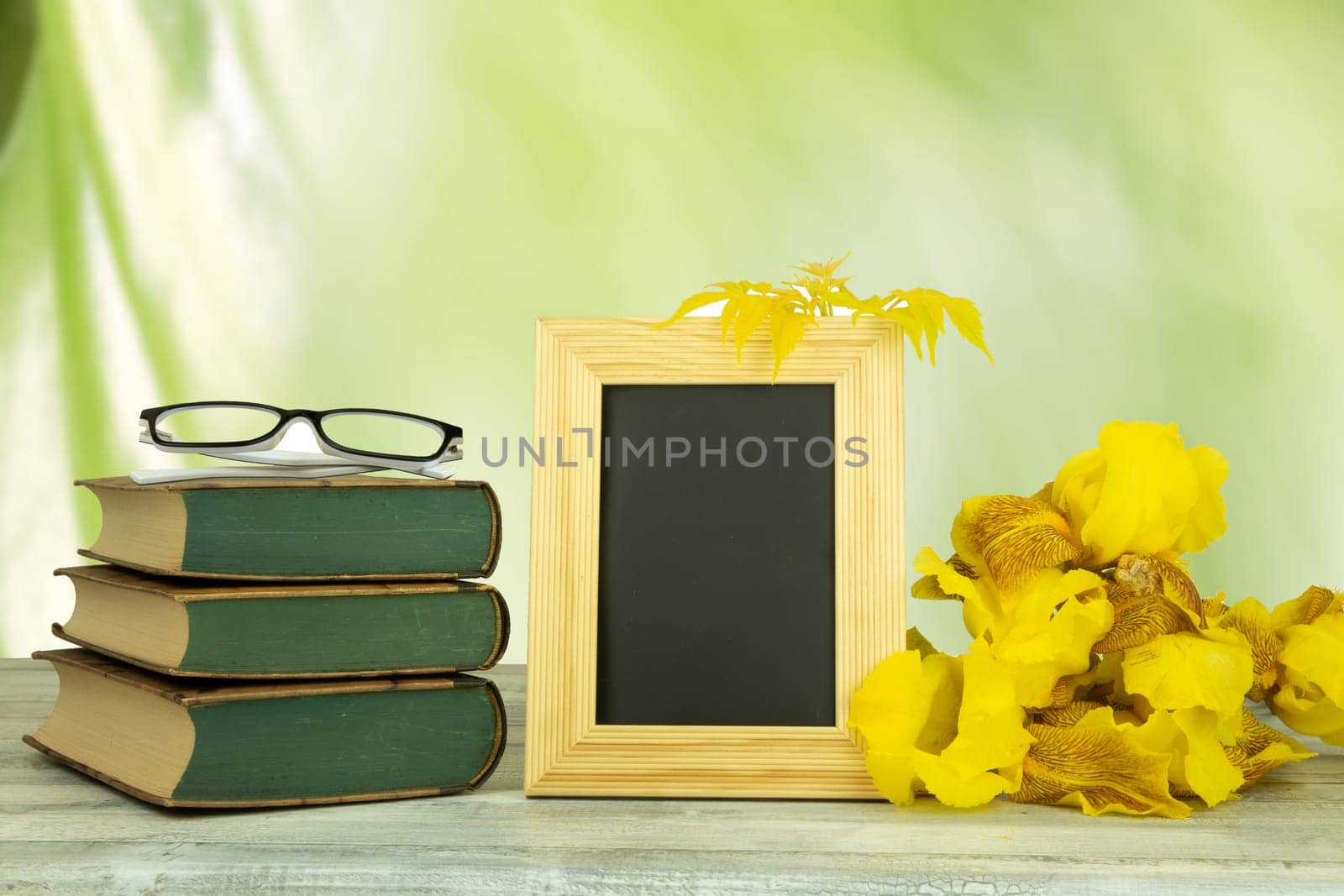Empty frame with a bouquet of yellow flowers and a pair of glasses on old books over bright green natural background. Back to school concept. The teachers day.
