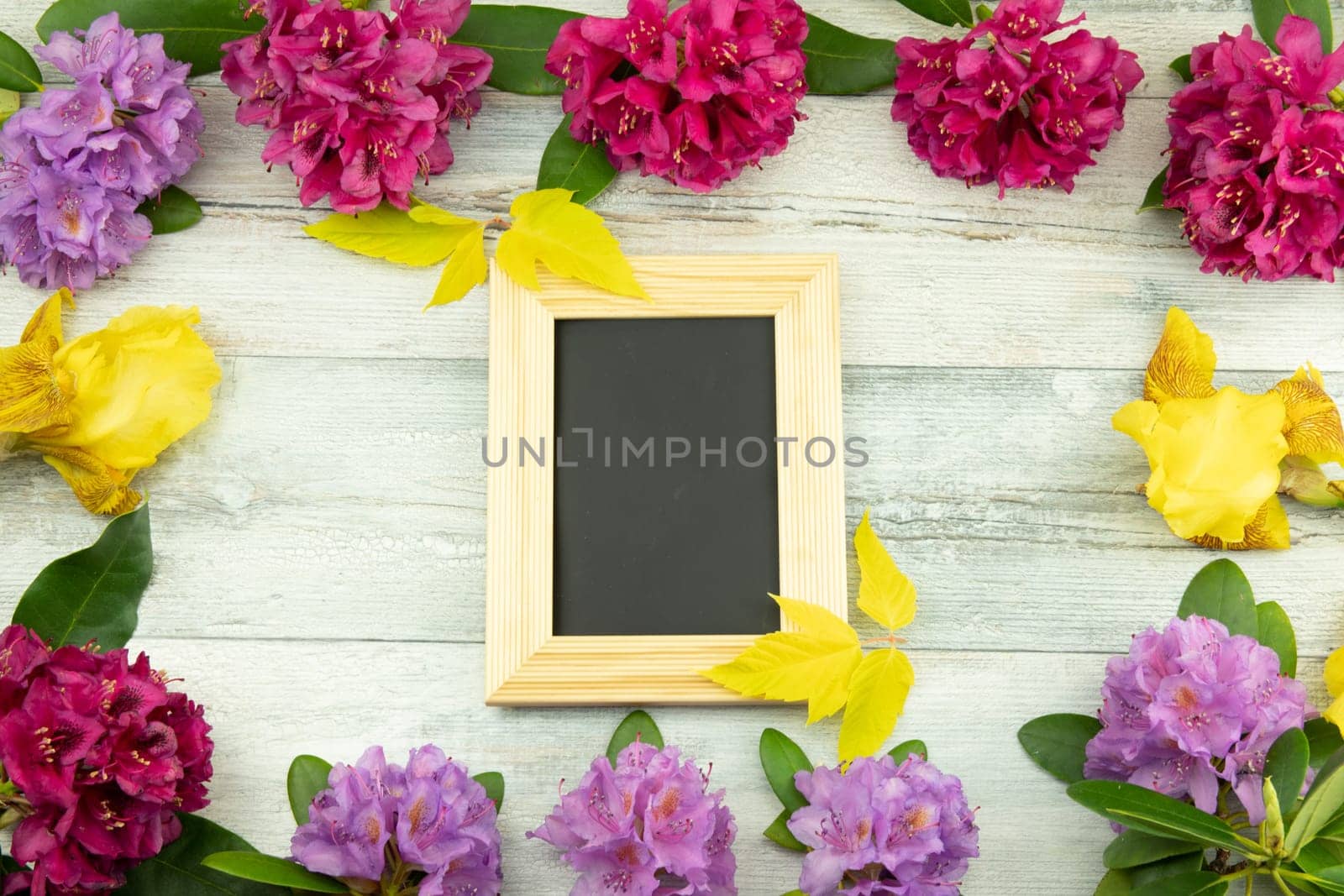 Topview from a Frame from flowers Rhododendron, Azalee and Iris on wooden table background with a blackboard for your text. Concept nature.