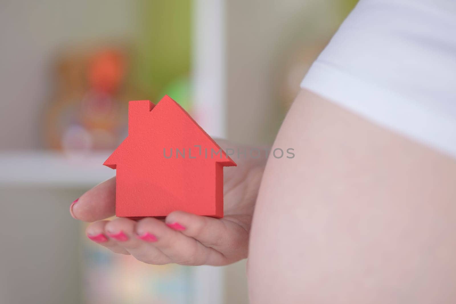 Pregnant house concept, of new home and family