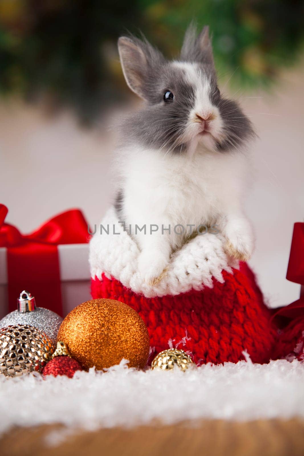 Bunny and Christmas background with winter decoration