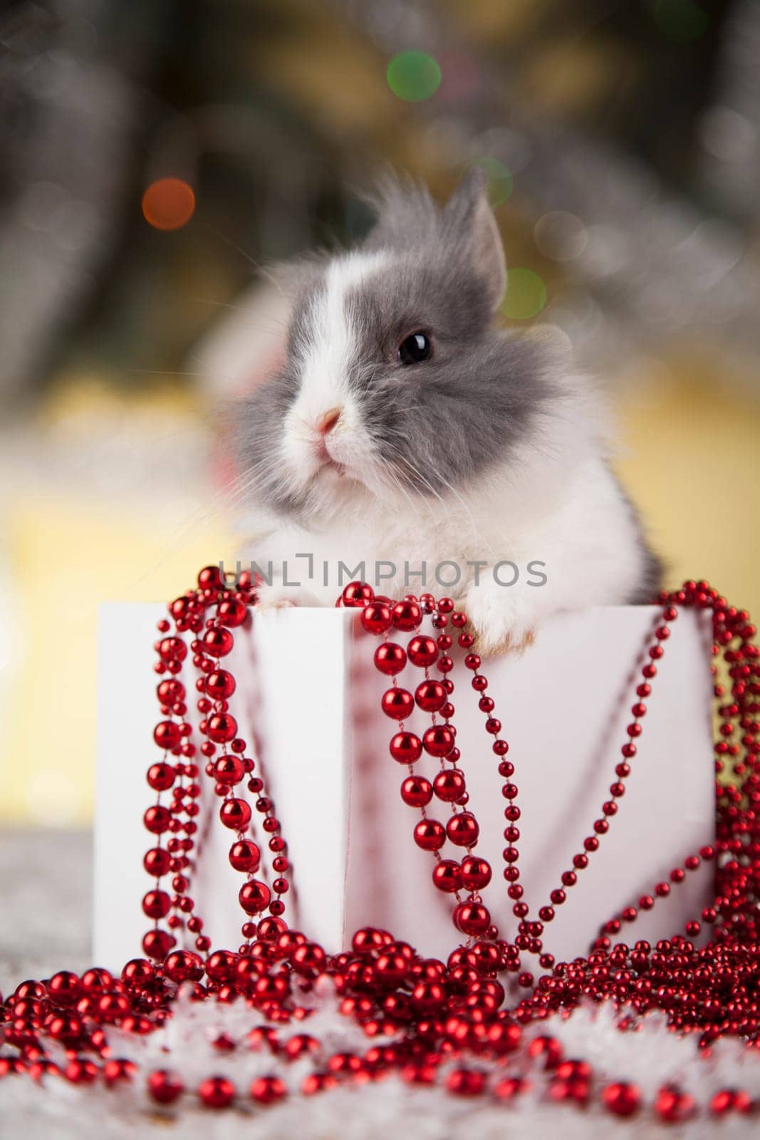 Rabbit, bunny, Gift boxes with red ribbon on Christmas background