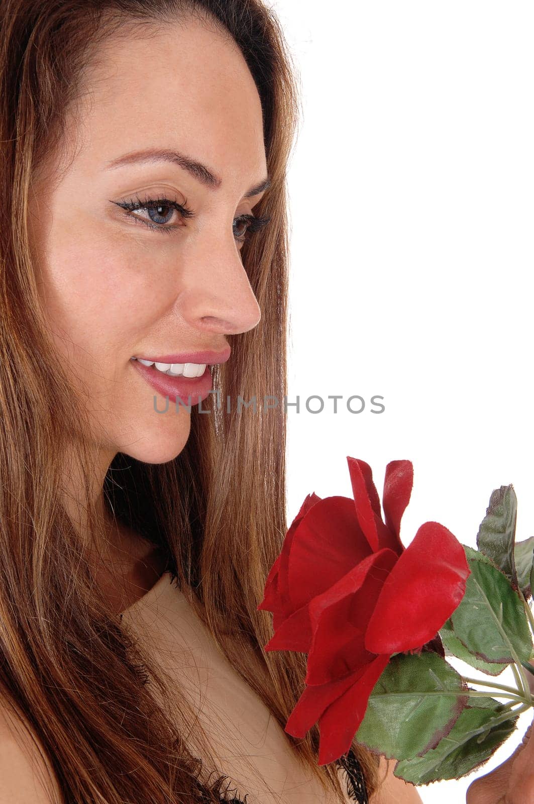 A beautiful woman's face in a close up image holding a big red rose.with long brunette hair, isolated for white background.