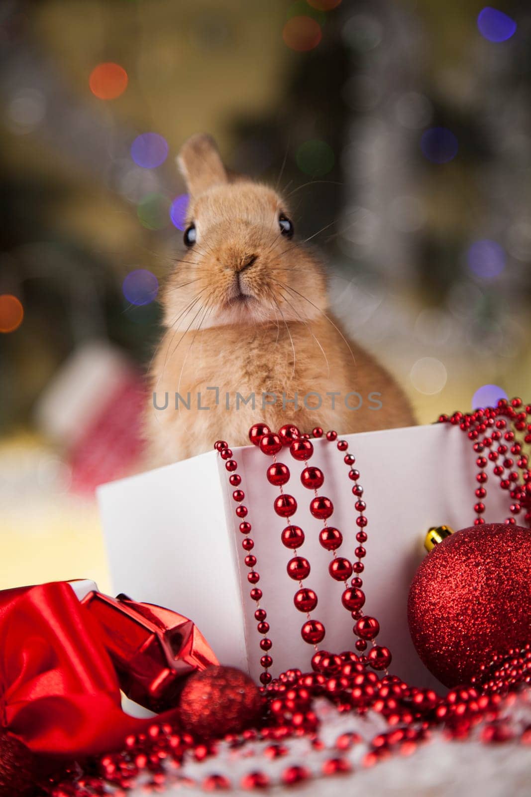 Bunny and Christmas background with winter decoration