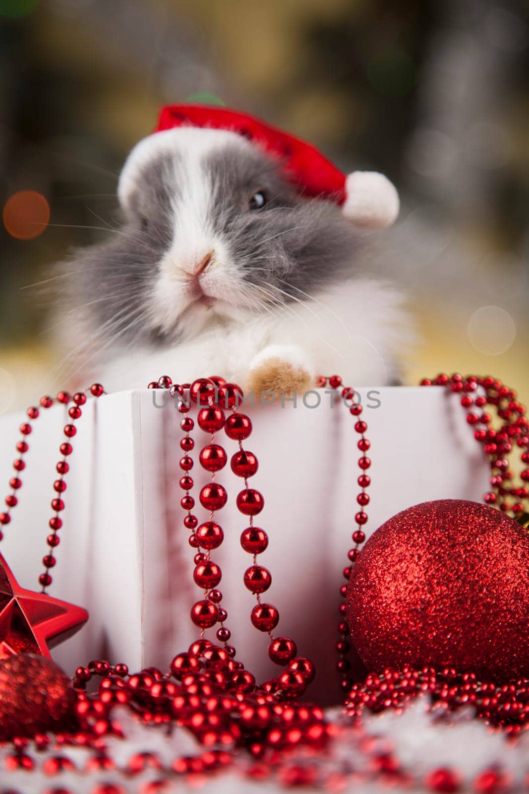 Funny bunny and Christmas background with winter decoration