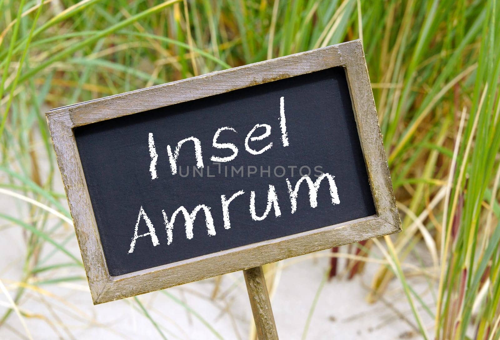 Amrum Island