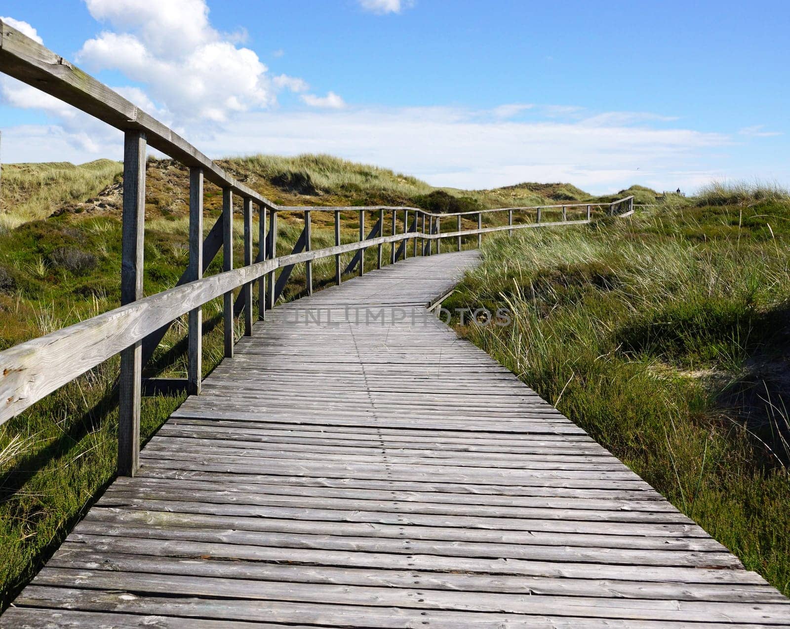 Hiking trail in the dunes by the sea
