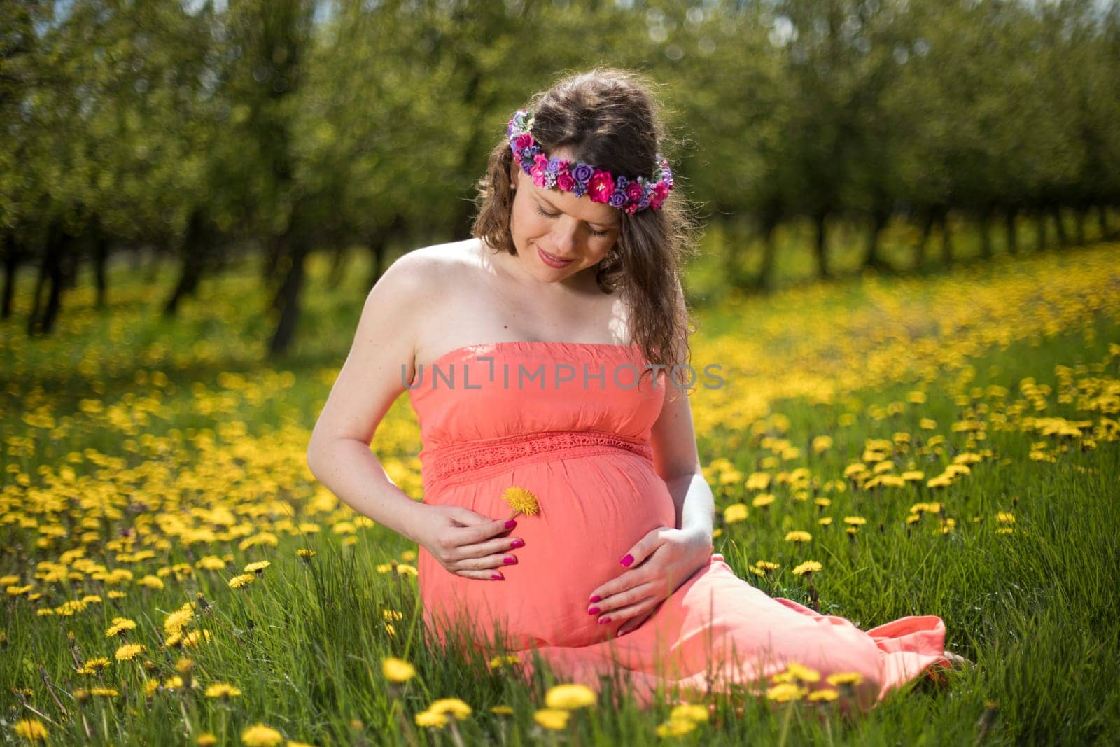 Meadow, Young beautiful pregnant woman