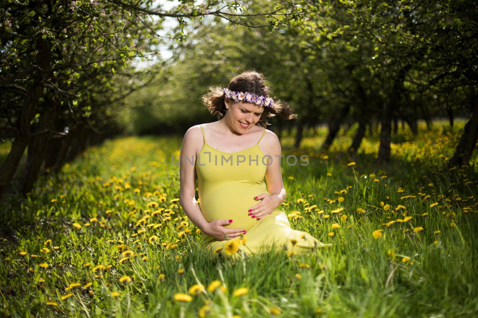 Beautiful pregnant woman in the meadow