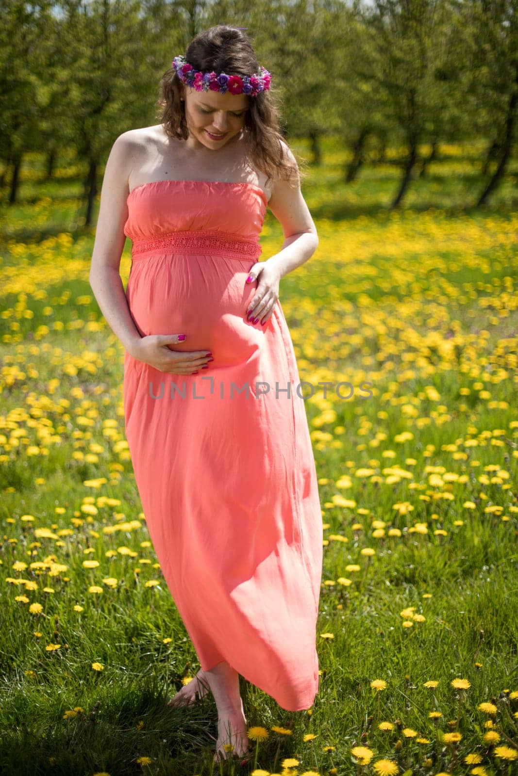 Meadow, Young beautiful pregnant woman