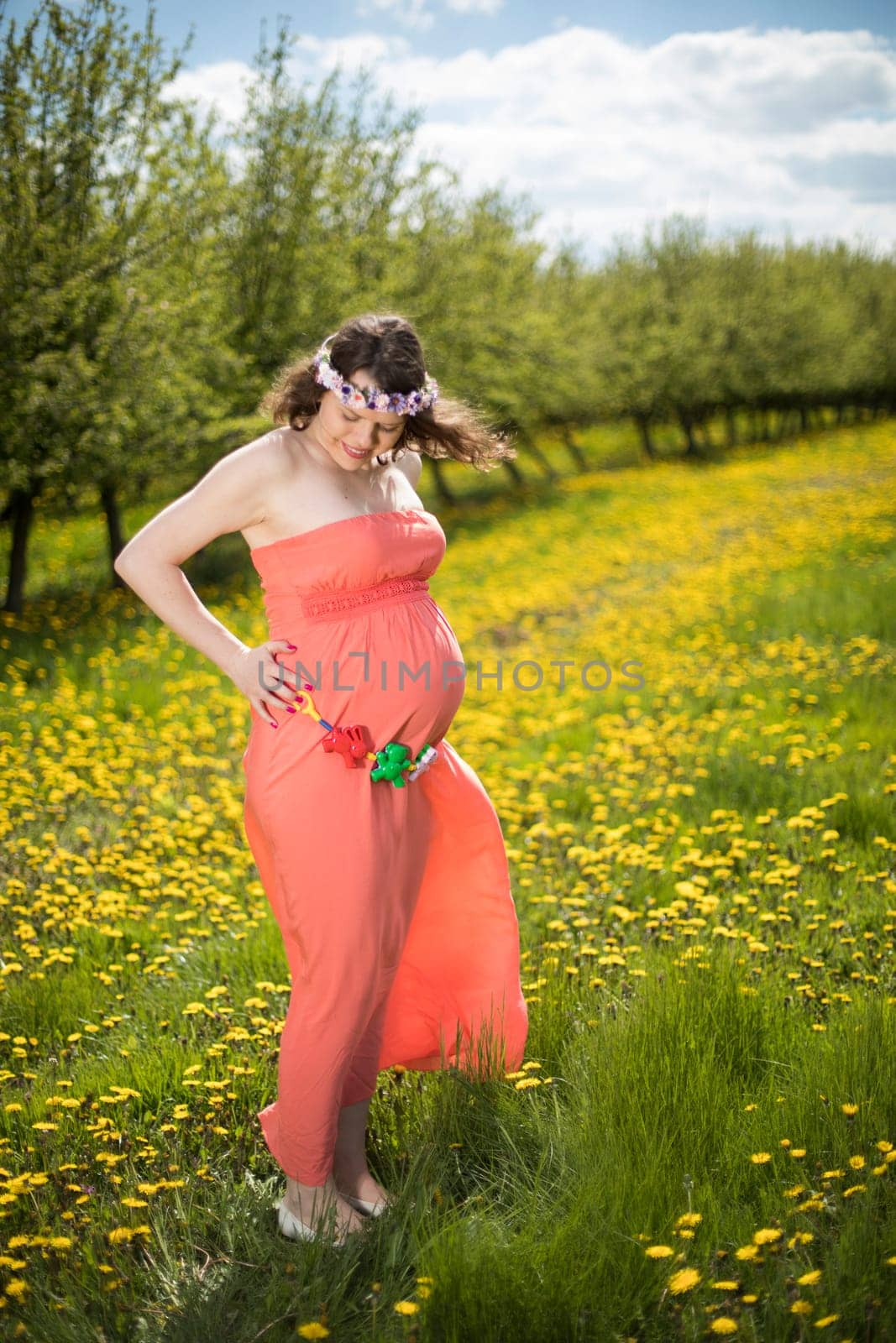 Meadow, Young beautiful pregnant woman