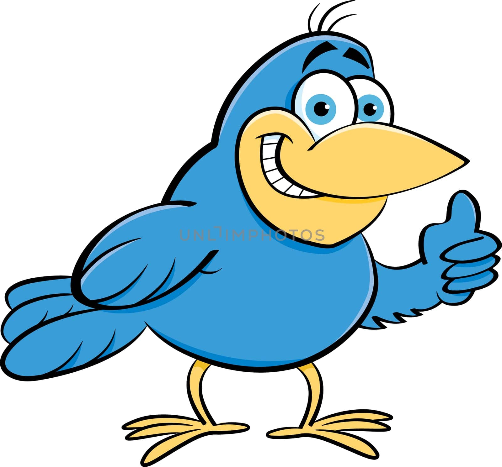 Cartoon illustration of a bird giving thumbs up.