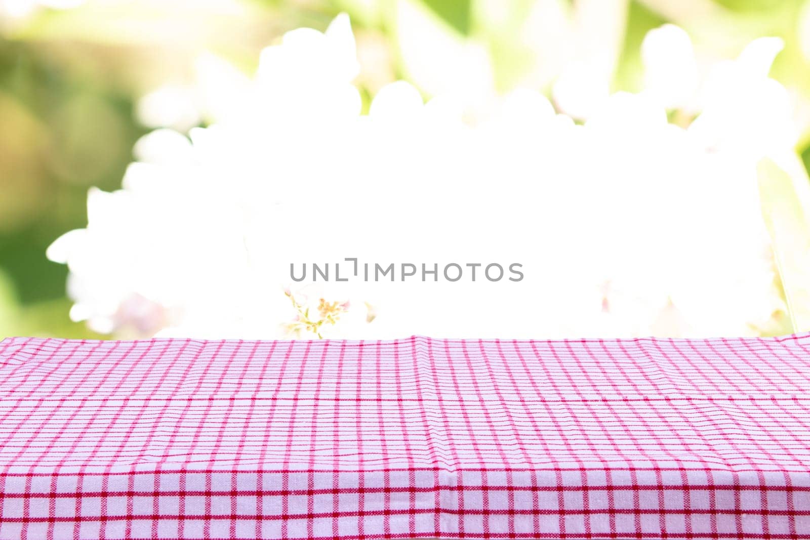 Empty table with red checkered tablecloth and bright natural background. For your food and product display montage.