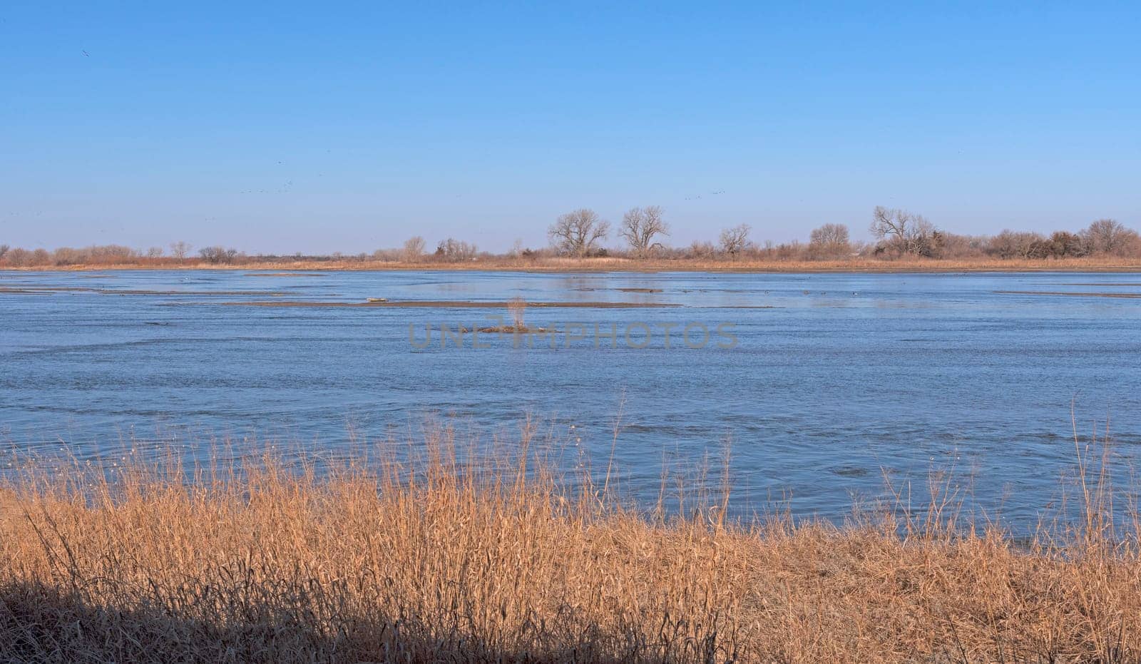 The Platte River in Early Morning during Crane Migration near Kearney, Nebraska