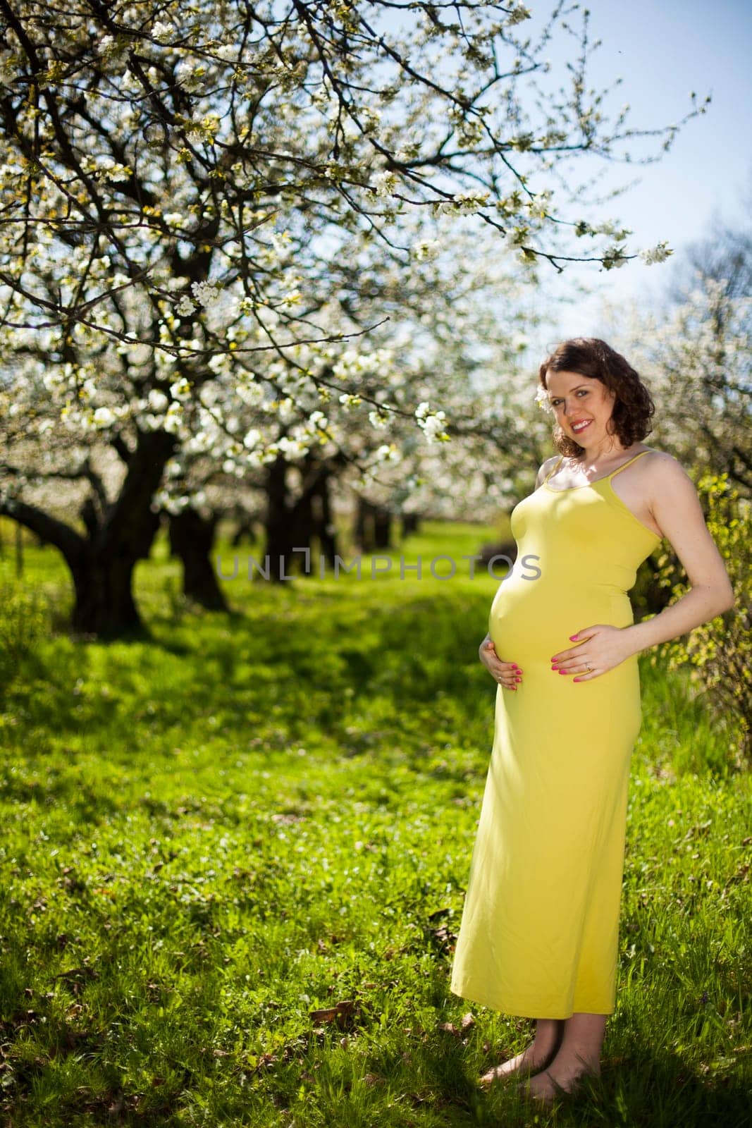 Spring, Young beautiful pregnant woman in the Orchard