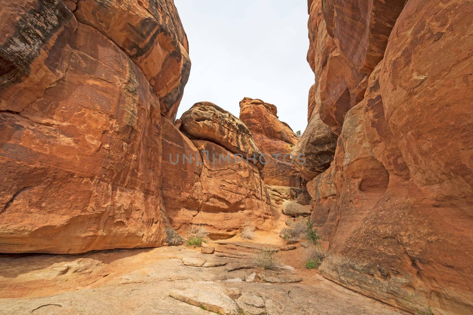Deep Within a Red Rock Canyon in the Devil’s Kitchen in Colorado National Monument in Colorado