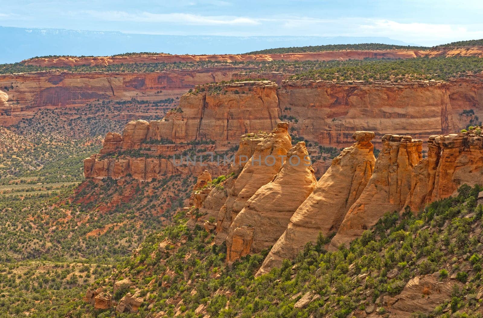 Morning Light on Red Rock Canyon Formations in Colorado National Monument in Colorado