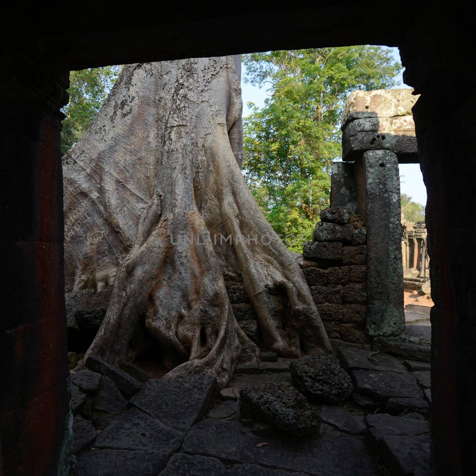 The Temple of  Banteay Kdei in the Temple City of Angkor near the City of Siem Reap in the west of Cambodia.   Cambodia, Siem Reap, April 2014