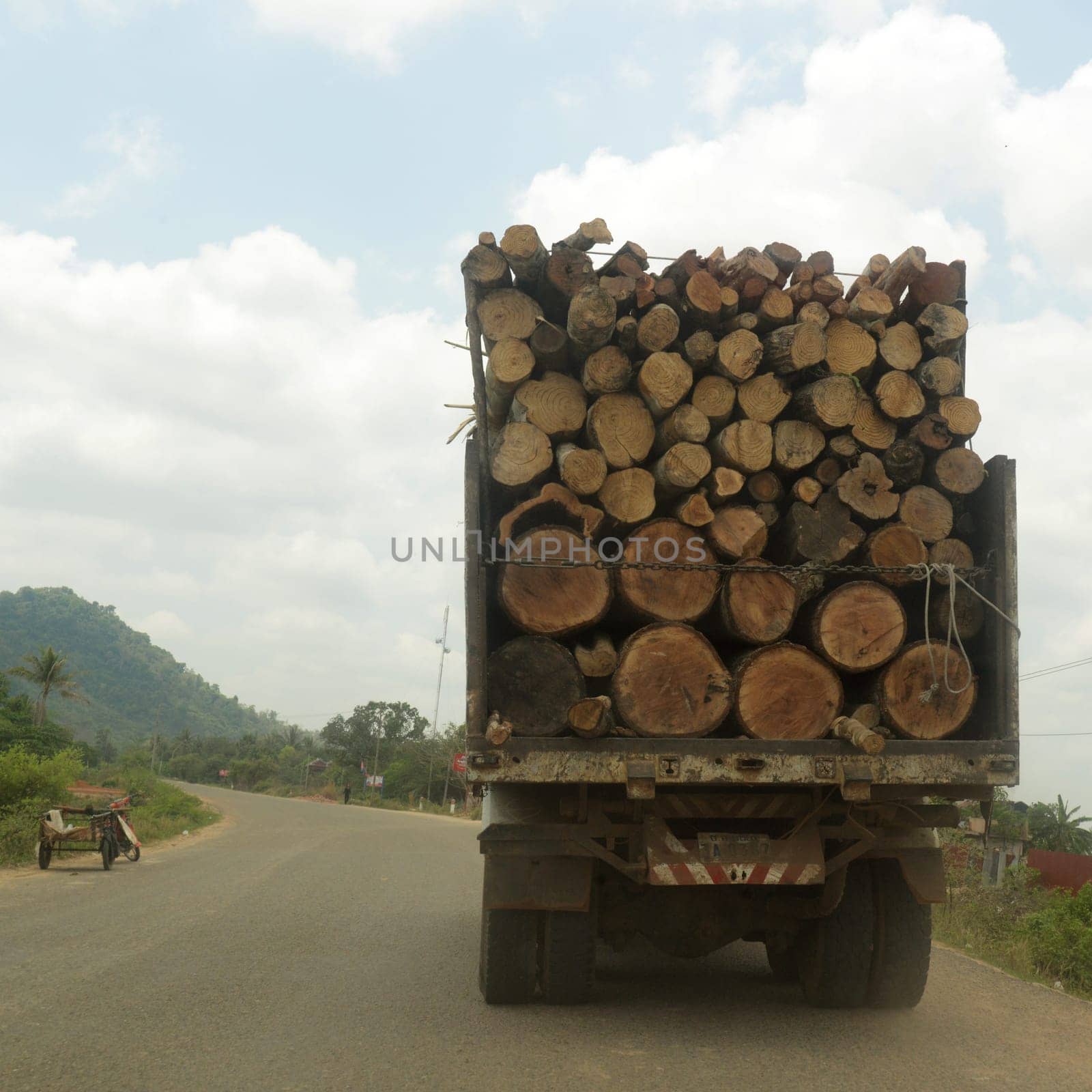a transport truck with wood near the City of Siem Riep in the west of Cambodia.   Cambodia, Siem Reap, April 2014