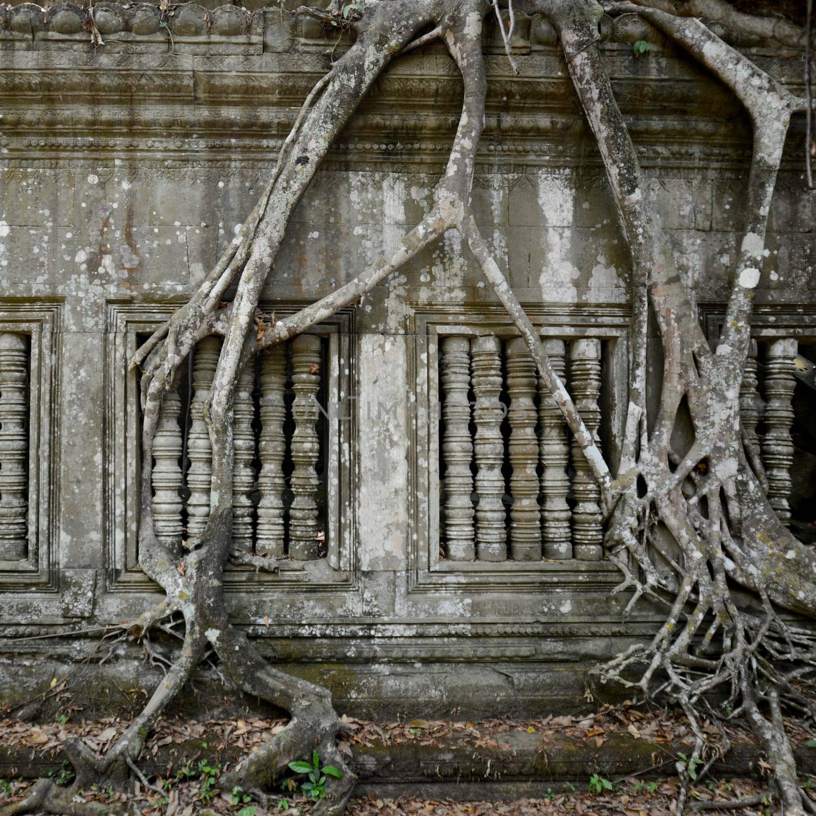 a window at the Tempel Ruins of Beng Mealea 32 Km north of the Temple City of Angkor near the City of Siem Reap in the west of Cambodia.  Cambodia, Siem Reap, April 2014