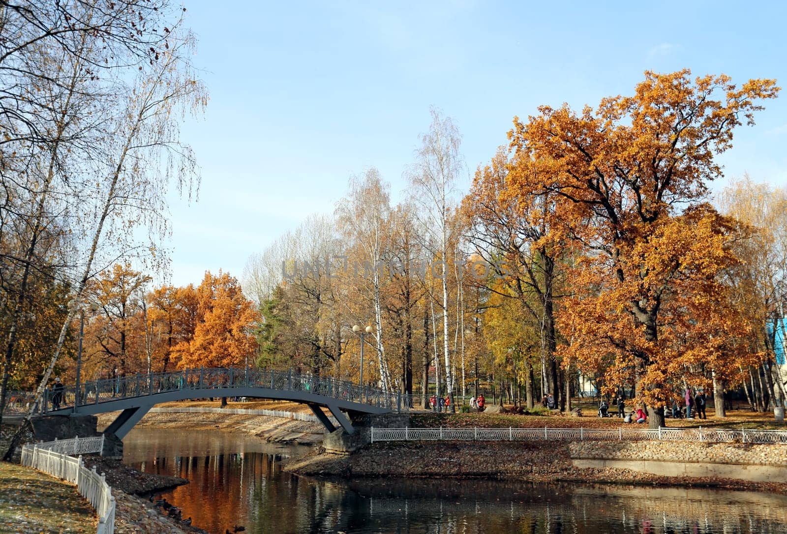 Very beautiful autumn landscape in the forest