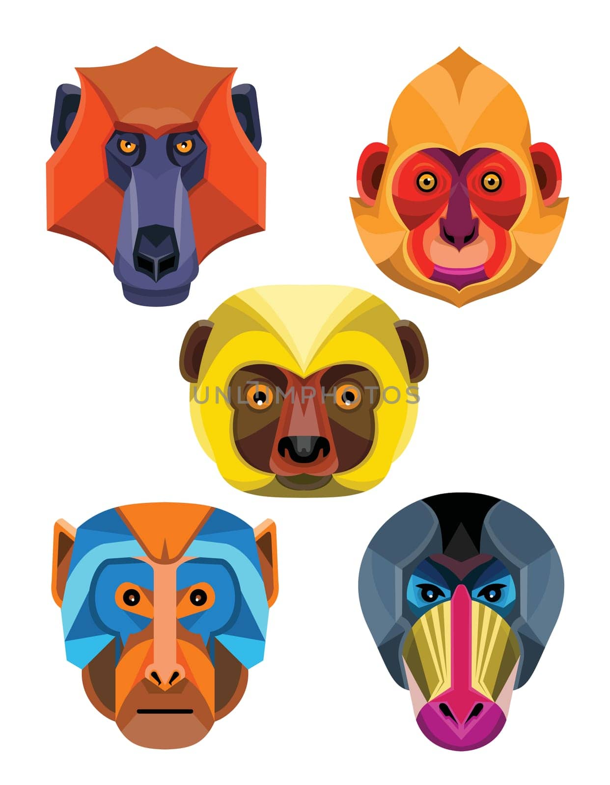 Flat icon mascot style illustration of heads of Old World monkeys like the baboon,  white-headed, golden-headed or Cat Ba langur,  diademed sifaka or diademed simpona lemur , rhesus macaque and the mandrill or drill viewed from front  on isolated background in retro style.