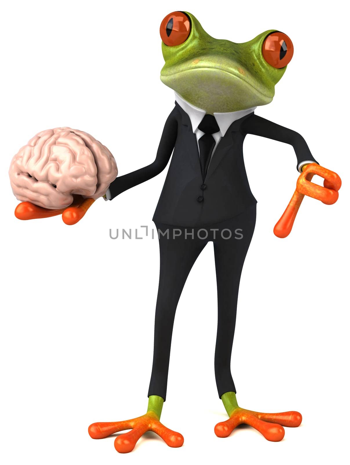 Fun frog