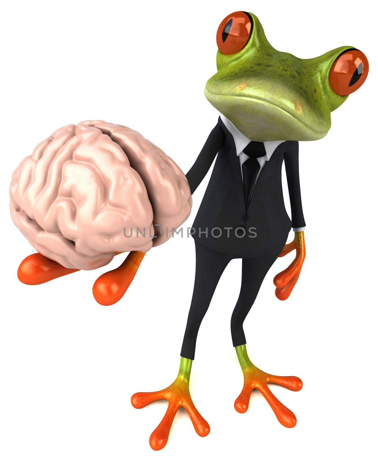 Fun frog