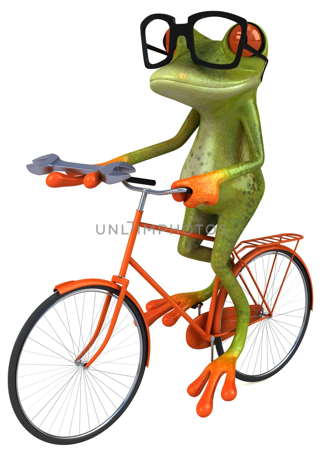 Fun frog