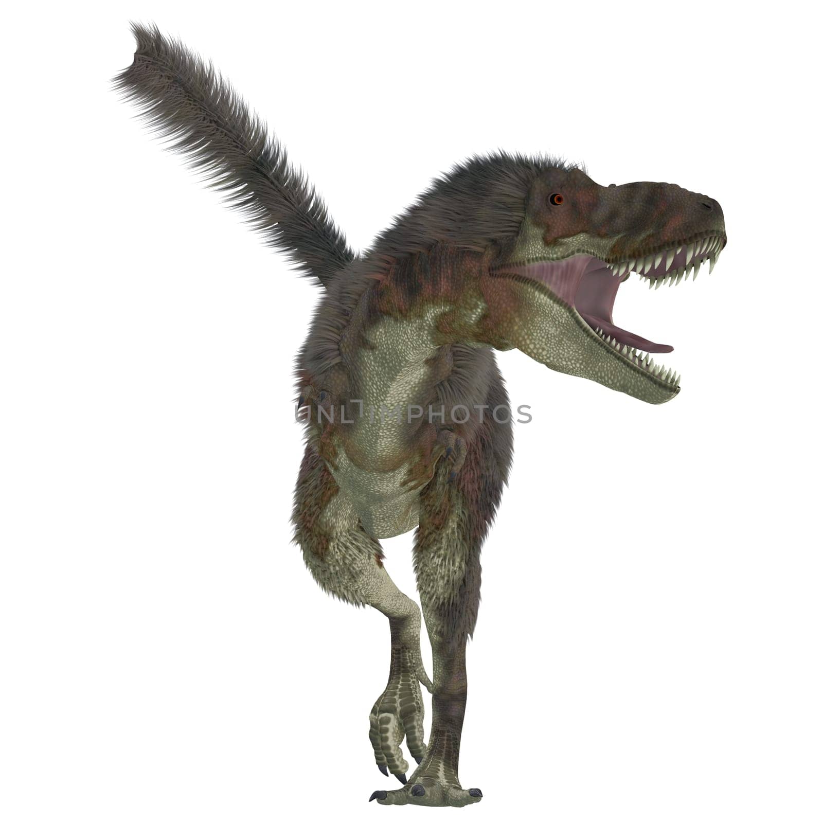 Daspletosaurus was a carnivorous theropod dinosaur that lived during the Cretaceous Period of North America.
