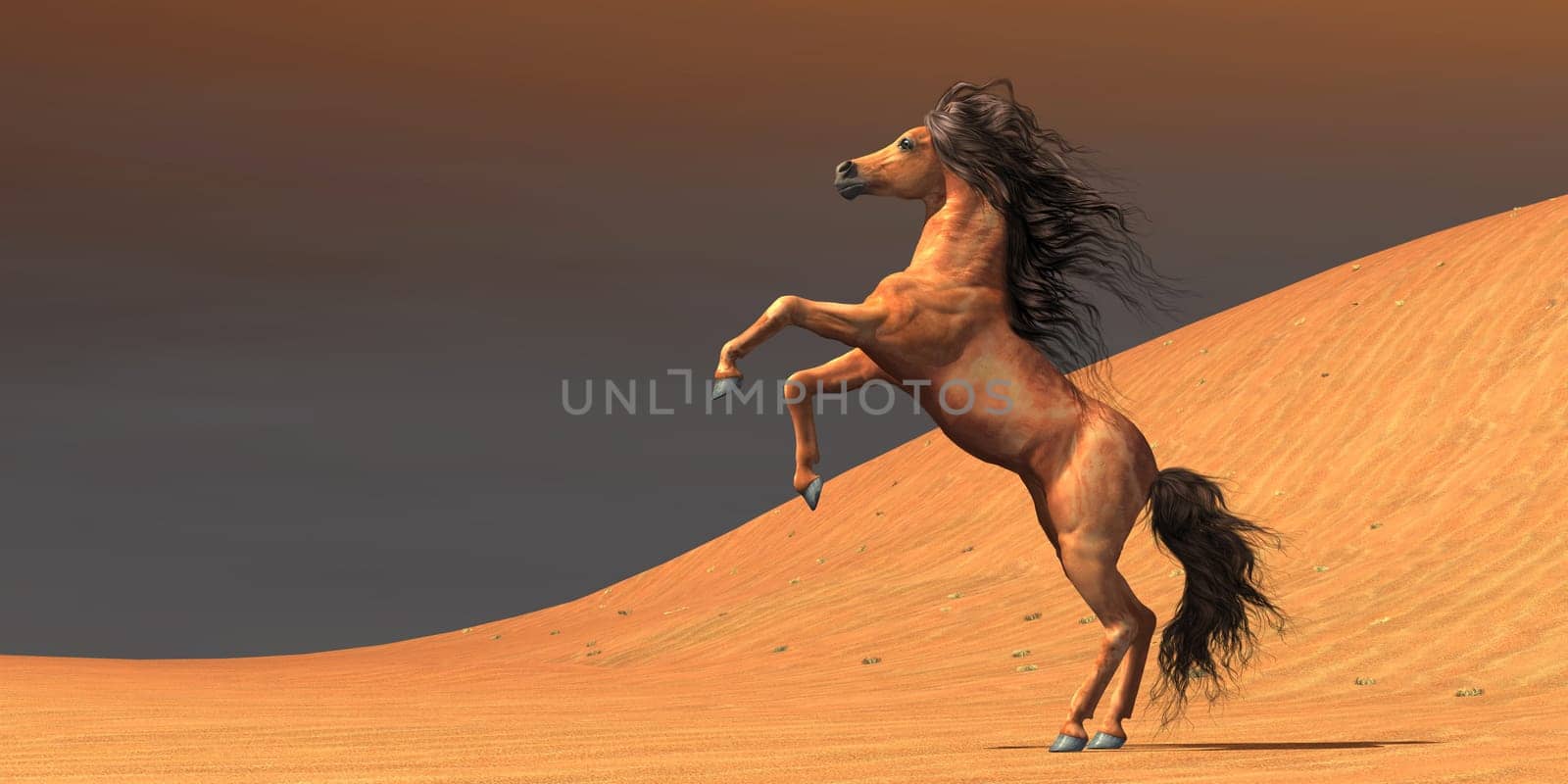 A wild Arabian mare rears up in a desert environment full of red sand dunes.
