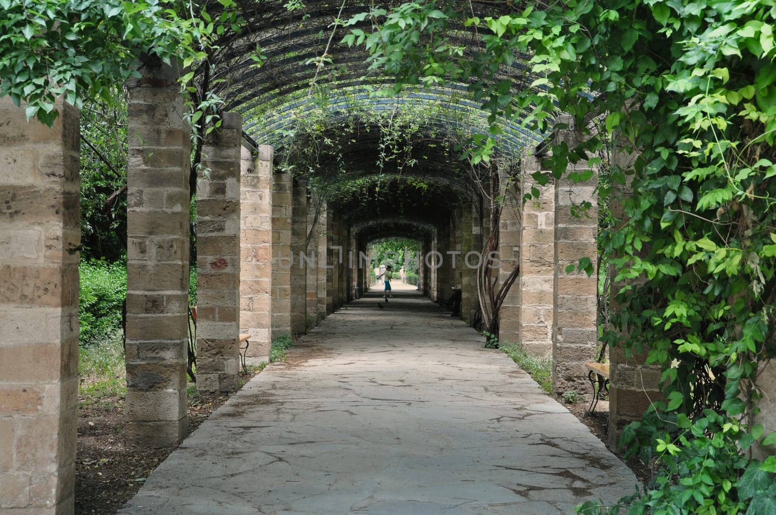 ATHENS, GREECE - JUNE 9, 2014: Arched pergola and people walking on footpath at Ethnikos Kipos national botanical garden public park in Athens, Greece.