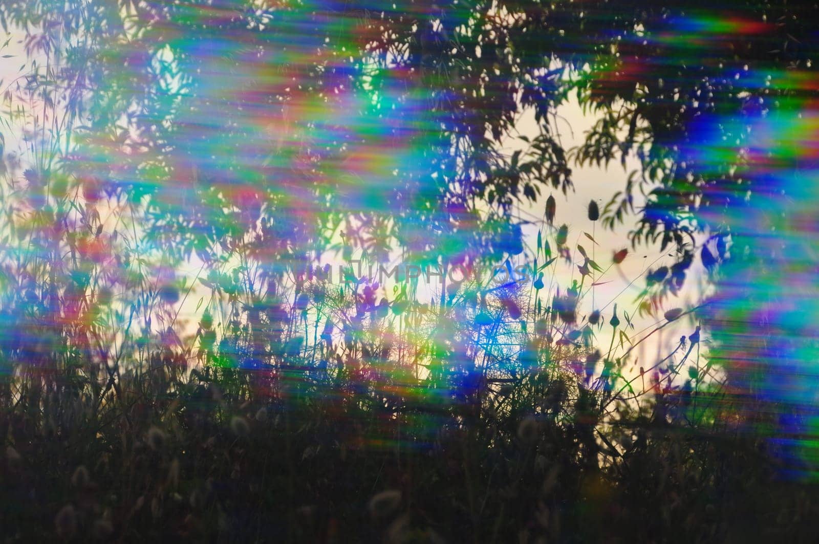 Spring plants silhouette through prism filter abstract colorful light streaks.